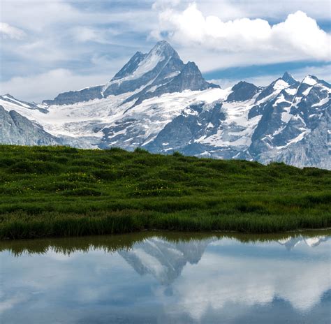 Scenic View Of Snow Capped Mountains · Free Stock Photo