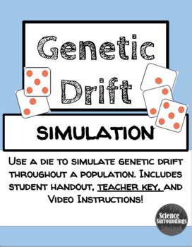 Genetic Drift Worksheet Teaching Resources Tpt