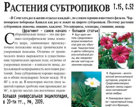 Растения субтропиков | Plants, Flora, Garden