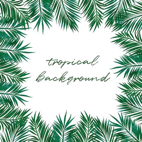 Premium Vector Tropical Palm Leaves Background