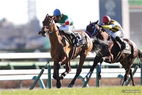 ディオスバリエンテ Dios Valiente 競走馬データベース 競馬ラボ