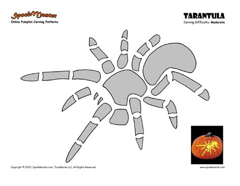 Spider Tarantula Free Pumpkin Stencil Pumpkin Pattern Pumpkin