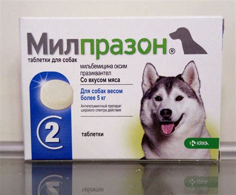 Милпразон для собак: инструкция по применению, дозировка и ...