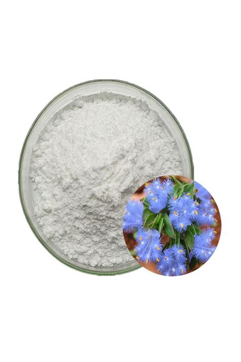 Bulk Ecdysterone Powder Beta Ecdysterone Dew Grass Extract Ecdysone