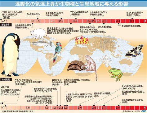 【図解】温暖化の気温上昇が生物種と生息地域に与える影響 写真1枚 国際ニュース：afpbb News