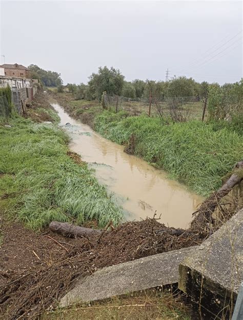 La lluvia dejó más de 100 litros en Utrera Las inversiones de los