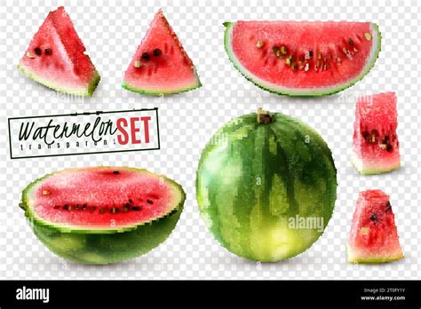 Realistic Watermelon Set With Whole Half Quarter Slices And Bite Size