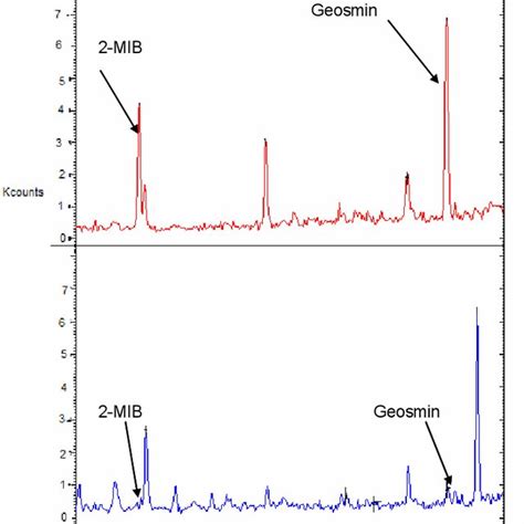 GC MS Chromatogram Of 15mg L Humic Acid And 100 Ng L Geosmin And 2 MIB