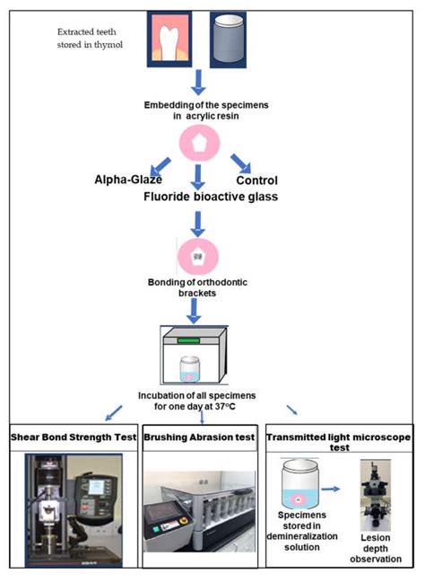 JFB Free Full Text Evaluation Of Bioactive Glass And Low Viscosity