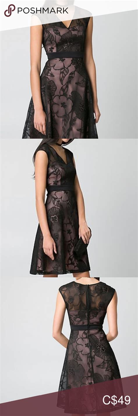 Nwot Embroidered Mesh V Neck Cocktail Dress Romantic Floral Lace