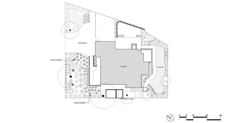 Pine Tree Gardens — MIRIDAE