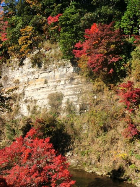 養老渓谷の紅葉｜紅葉情報2024