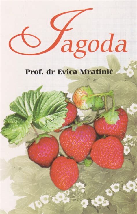 Jagoda