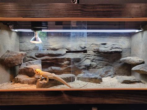 DIY Naturalistic Enclosure Background For A Bearded Dragon Atelier