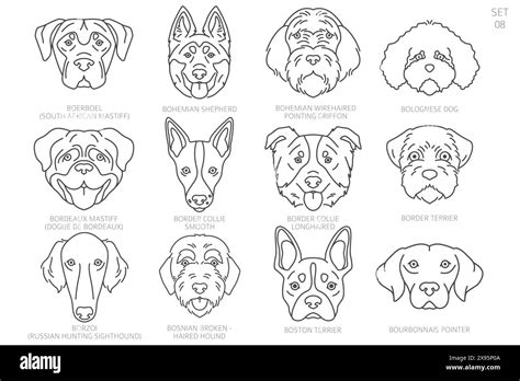 Dog Head Silhouettes In Alphabet Order All Dog Breeds Simple Line