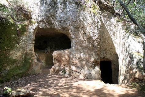 Las Tumbas Graves En Las Maderas Acercan A Populonia Italia Foto De