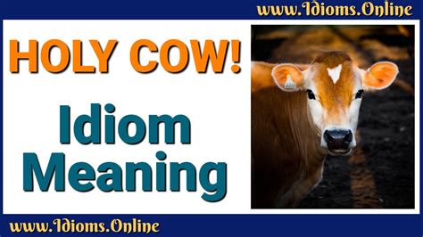 Holy Cow Idiom Meaning English Expression Videos Youtube