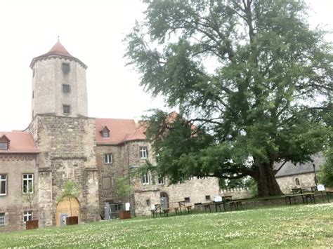 Waldtrail Mit Kaiserblick Und Bärenhöhle Zum Schloss Goseck