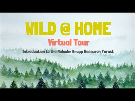 Virtual Tour Introduction To The UBC Malcolm Knapp Research Forest