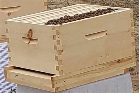 Types Of Beehives Their Pros And Cons With Pictures Beekeeping