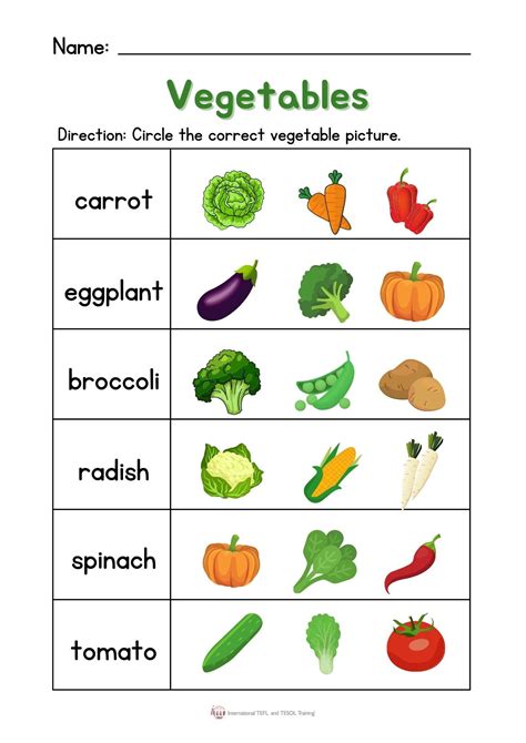 Vegetable Worksheet ️ ️ ️ Ittt