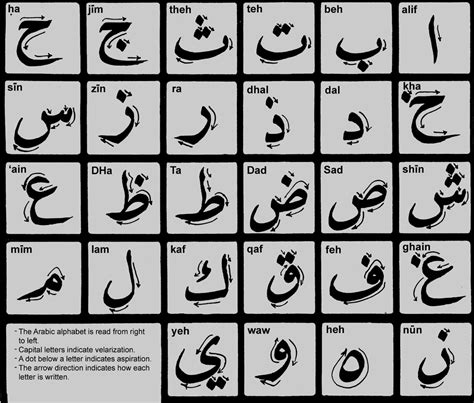 Arabic Alphabet - Arabic Letters | Learn Arabic تعلم العربية