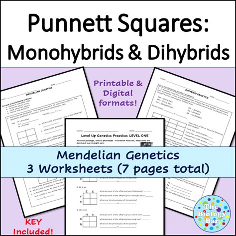 Mendelian Genetics Worksheets Made By Teachers