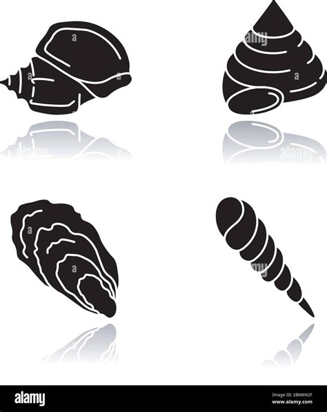 Different Seashells Drop Shadow Black Glyph Icons Set Stock Vector