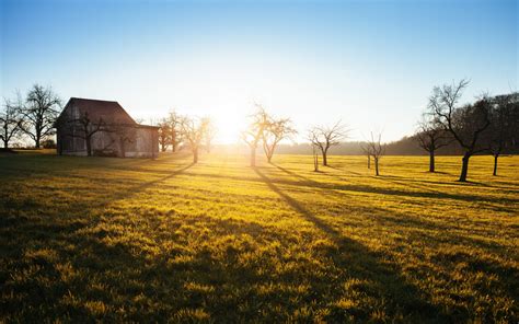 Images Gratuites Paysage Arbre La Nature Herbe Horizon Lever Du