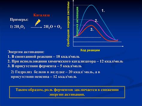 Энзимология. Структура и механизм действия ферментов. (Лекция 2 ...