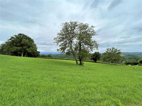 Gîte à Lasseube Pyrénées Atlantiques Escale En Pyrénées Gîtes de