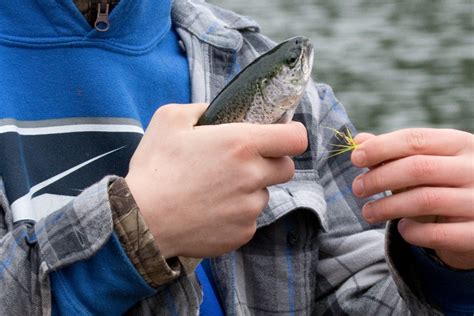 Ohio Department Of Natural Resources Will Release Rainbow Trout In Two Ponds In Lorain County