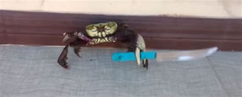 Sorry Guys, That Viral Video of a Knife-Wielding Crab Was a Hoax ...