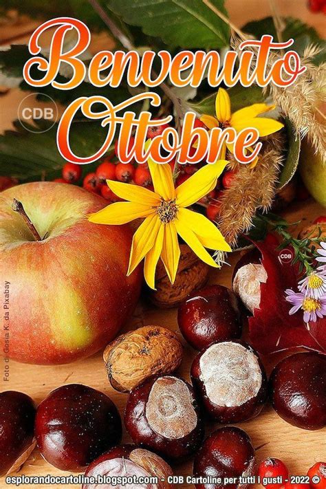 Cartolina BENVENUTO OTTOBRE Con Bella Immagine Di Castagne Mele E