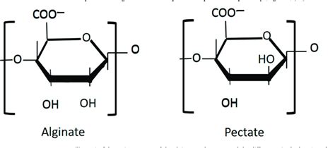 Schematic Structure Of The Alginate And Pectate And The Differences In