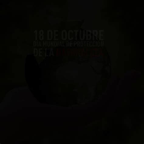 Telesur Tv On Twitter Envideo Desde El A O El Deoctubre