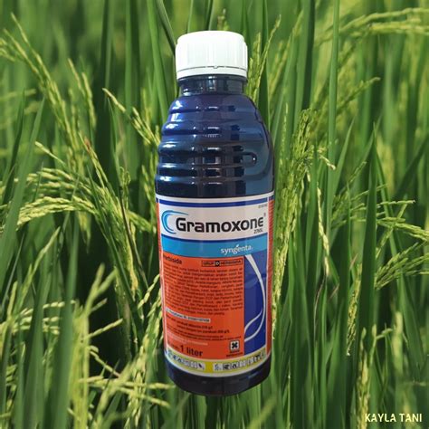 Jual Herbisida Gramoxone Sl Liter Shopee Indonesia