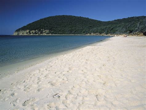 Prenota Le Spiagge A Puntone Di Scarlino Beacharound