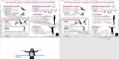 Mini zestaw do tematu Przegląd i znaczenie ptaków Biologia klasa 6