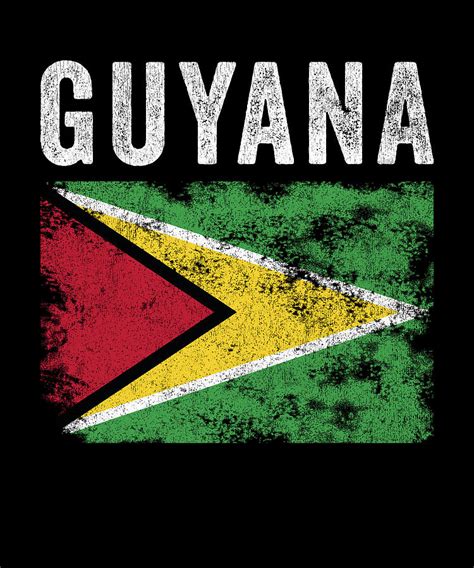 Guyana Flag Distressed - Guyanese Flag Digital Art by Kasper Holck ...