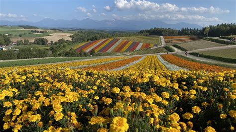 北海道旅行のおすすめ6選 過去30回の北海道旅行経験から解説 北海道周遊ならここに行け！ ドルフィン日記