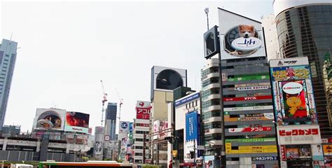 秋田犬の子犬が渋谷駅前8面のビジョンを遊びまわる！3dカラクリ時計動画のシンクロ放映がスタート、ヒット 看板経営com