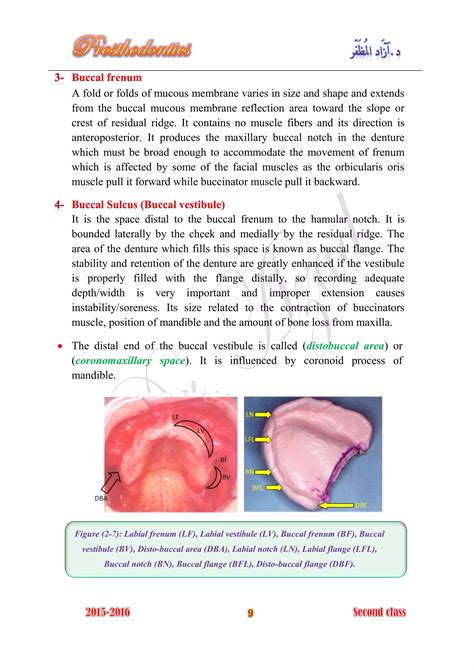 Complete denture prosthodontics 2016 | PDF