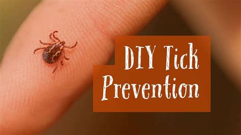 Diy Tick And Mosquito Prevention From Seed To Spoon Vegetable Garden Planner Mobile App