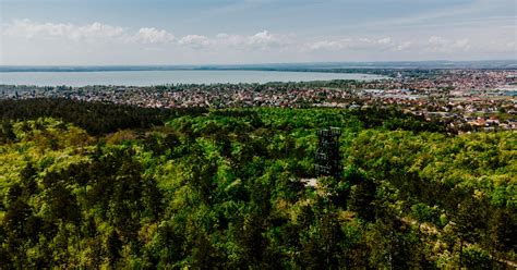 Erdőfürdő a Balaton körül Képgaléria a tavaszi túrákról Cikkek We