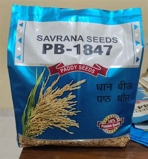 Savrana Rice Paddy Pb 1847 4kg Pack Pusa Basmati 1847 10 Kg At Rs 275