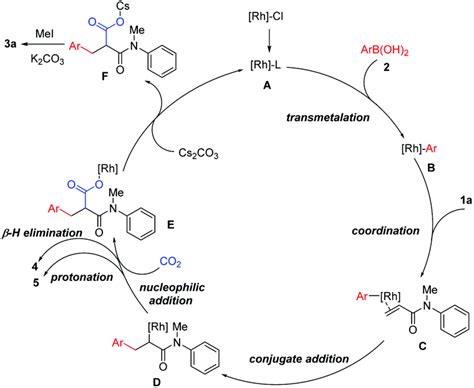 Rhi Catalyzed Regioselective Arylcarboxylation Of Acrylamides With