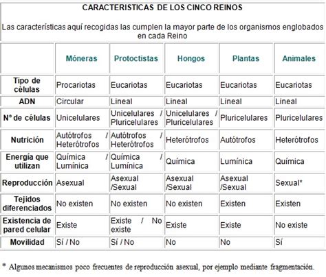 Biología Y Geología De 1º Bachillerato Los Cinco Reinos De La Naturaleza