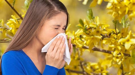 Natural Relief For Seasonal Allergies Allergies Info And Tips