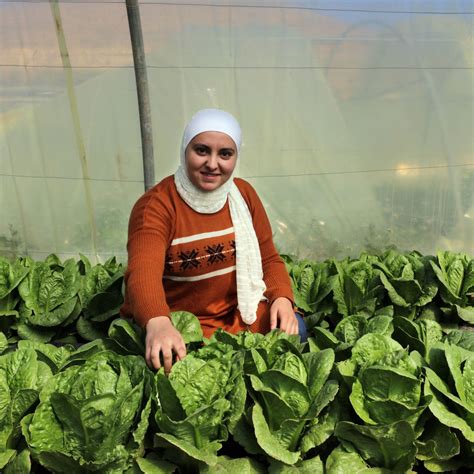 WFP In The Middle East North Africa On Twitter Helps Farmers Grow